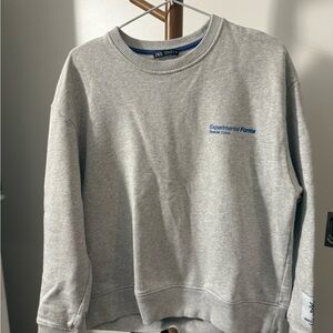 Zara Gray Crew Neck Sweater